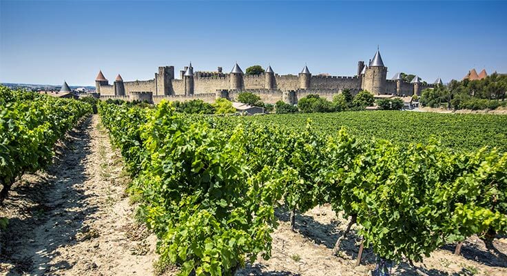 La cité médiévale de Carcassonne et ses vignobles.